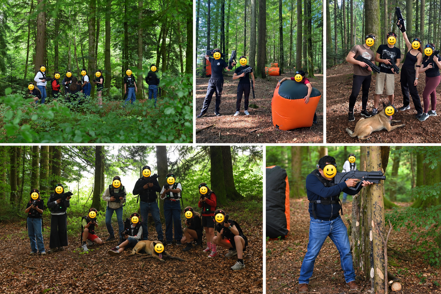 Laser Zone en forêt